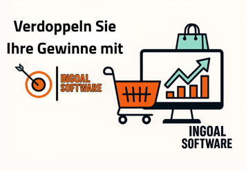 Das Blitz-Cash-System – Deutschsprachiges Online-Programm | Überblick, Nutzen & 90-Tage-Plan | InGoal Software
